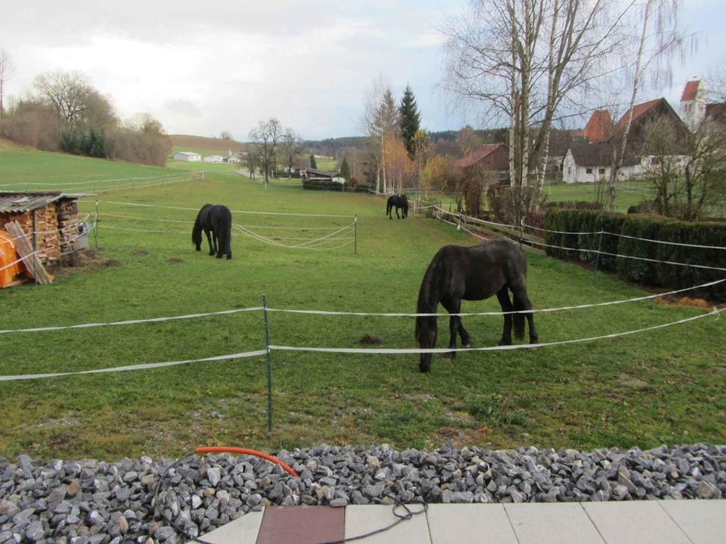 Ferienwohnung Am Weinberg Ostrach المظهر الخارجي الصورة